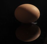 egg_flash only.jpg egg_flash only.jpg