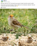 Screenshot 2024-10-03 at 19.14.05.jpg