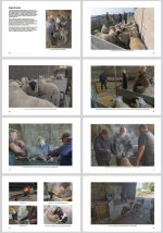 2024-09-23_123113.jpg 2024-09-23_123113.jpg