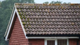 G9ii a.JPG G9ii a.JPG