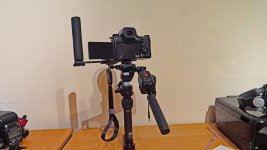 P1011626a.jpg P1011626a.jpg