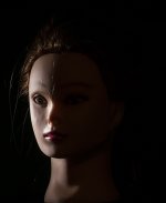 short_honeycomb_red.jpg short_honeycomb_red.jpg