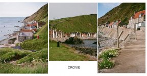ContactSheet--crovie-copy.jpg-tp.jpg