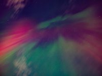 DSCF0182.jpg DSCF0182.jpg