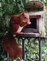 DSC00579-a7ii-L180r-c.jpg DSC00579-a7ii-L180r-c.jpg