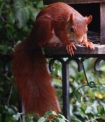 DSC00591-a7ii-L180r-c.jpg DSC00591-a7ii-L180r-c.jpg