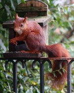 DSC00622-a7ii-L180r-c.jpg DSC00622-a7ii-L180r-c.jpg