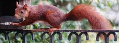 DSC00627-a7ii-L180r-c.jpg DSC00627-a7ii-L180r-c.jpg