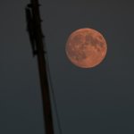 DSCF4691.jpeg DSCF4691.jpeg