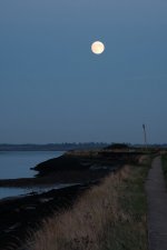 DSCF4692.jpeg DSCF4692.jpeg