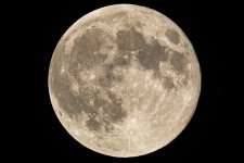 2024-10-17 20.09.15 (DSC06118).jpeg