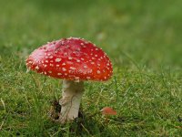 20241014-BA140857.JPG 20241014-BA140857.JPG