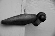 Test V 80-20 Macro.jpg