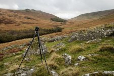 009 Black-a-Tor Copse (Bronica Setup) 02-9125 PS Adj.JPG