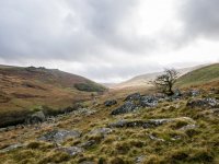 D-Lux 06-1020295 PS Adj.JPG