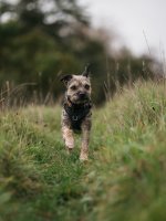 IMG_3159-1-1.jpg IMG_3159-1-1.jpg