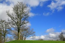 Canon 5D 8580.JPG Canon 5D 8580.JPG