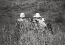 Whodunnit3.jpg Whodunnit3.jpg