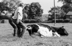 img448.jpg img448.jpg