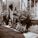 1731789095720.jpeg 1731789095720.jpeg