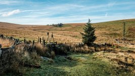 006 Teignhead Farm 01-9271 PS Adj.JPG