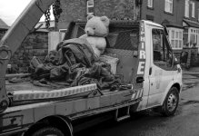 1731855823625.jpeg 1731855823625.jpeg