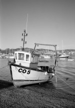 1731858809773.jpeg 1731858809773.jpeg