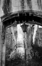 1731862485709.jpeg 1731862485709.jpeg