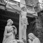 1731939549069.jpeg 1731939549069.jpeg