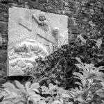 1731939629225.jpeg 1731939629225.jpeg