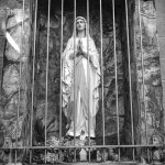 1731952109137.jpeg 1731952109137.jpeg