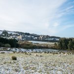 030 HMP Princetown 01-1020338 PS Adj.JPG