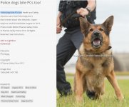 Screenshot 2024-11-25 234921.jpg Screenshot 2024-11-25 234921.jpg