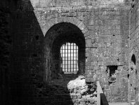 1732959142188.jpeg 1732959142188.jpeg