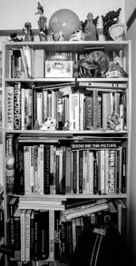 1733061611734.jpeg 1733061611734.jpeg