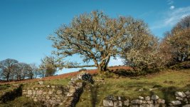 019 Combshead (aka Deancombe) Farm Ruins 01-9381 PS Adj.JPG