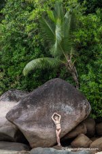 _DSC6342-Edit.jpg _DSC6342-Edit.jpg