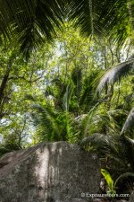 DSC_8807.jpg DSC_8807.jpg