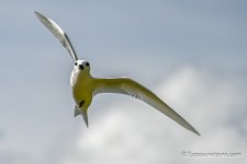 DSC_7545-Edit-3.jpg DSC_7545-Edit-3.jpg