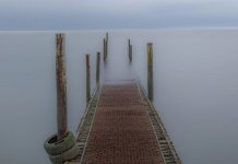 RHos jet LEsmall.jpg