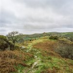 008 Bench Tor (40mm) 02-000138740008 PS Adj.JPG