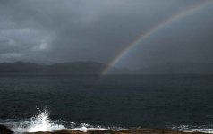 bonnaire .jpg bonnaire .jpg