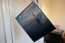 2nd 8x10.JPG 2nd 8x10.JPG