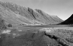 2024-10-06-0037-copy.jpg-tp.jpg 2024-10-06-0037-copy.jpg-tp.jpg