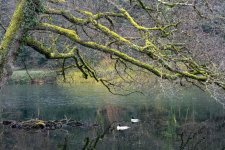 DSC_0045.jpg DSC_0045.jpg