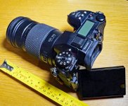 P1001198DD.jpg P1001198DD.jpg