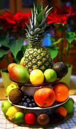 2025-01-01.jpg 2025-01-01.jpg