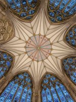 Week 52 - overall favourite.jpg