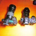 P1060625.JPG P1060625.JPG