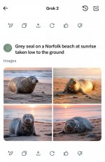 IMG_4222.jpeg IMG_4222.jpeg